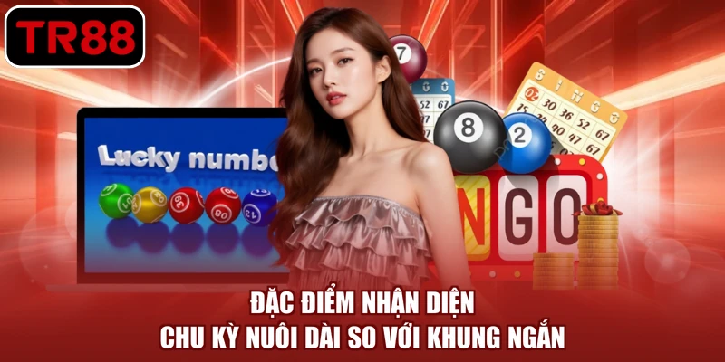 Đặc điểm nhận diện chu kỳ nuôi dài so với khung ngắn