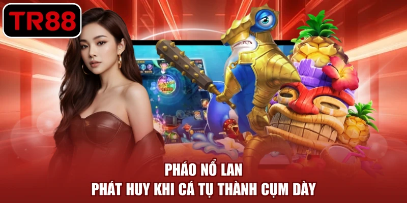 Pháo nổ lan phát huy khi cá tụ thành cụm dày